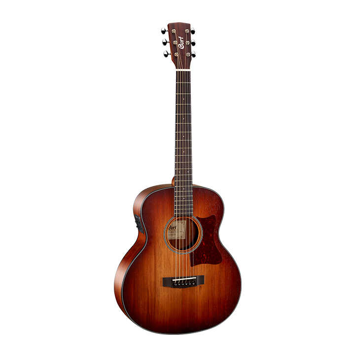 Cort Little CJ Blackwood Acoustic Guitar